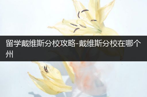 留学戴维斯分校攻略-戴维斯分校在哪个州