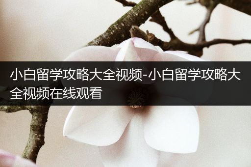 小白留学攻略大全视频-小白留学攻略大全视频在线观看