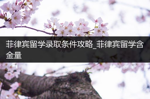 菲律宾留学录取条件攻略_菲律宾留学含金量