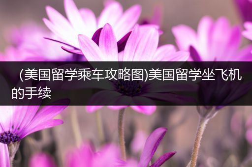 （美国留学乘车攻略图)美国留学坐飞机的手续