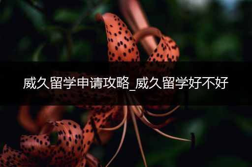 威久留学申请攻略_威久留学好不好