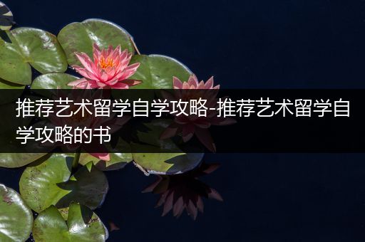 推荐艺术留学自学攻略-推荐艺术留学自学攻略的书