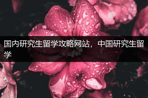 国内研究生留学攻略网站，中国研究生留学