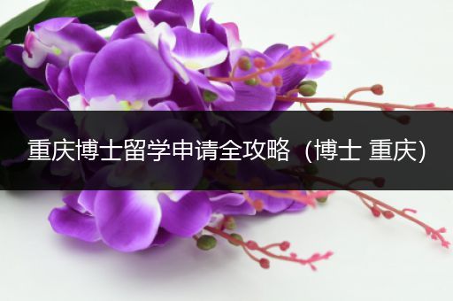 重庆博士留学申请全攻略（博士 重庆）