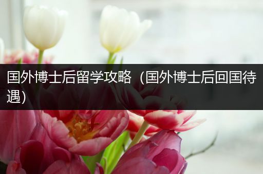 国外博士后留学攻略（国外博士后回国待遇）