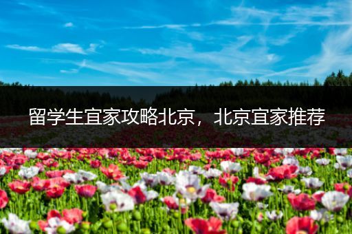 留学生宜家攻略北京，北京宜家推荐