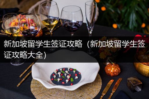 新加坡留学生签证攻略（新加坡留学生签证攻略大全）