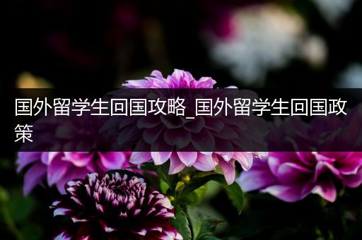 国外留学生回国攻略_国外留学生回国政策
