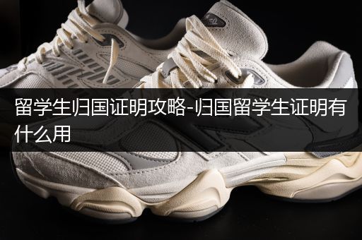 留学生归国证明攻略-归国留学生证明有什么用