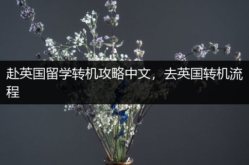 赴英国留学转机攻略中文，去英国转机流程