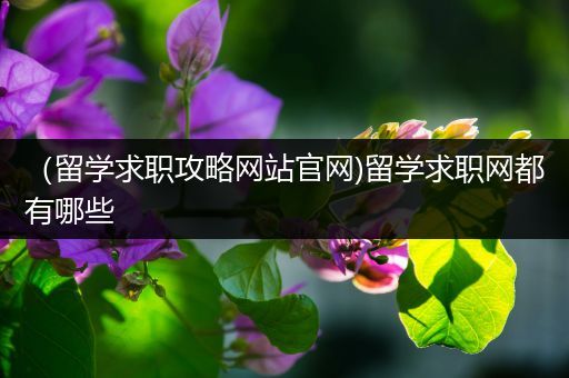 （留学求职攻略网站官网)留学求职网都有哪些