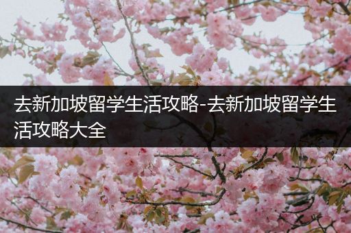 去新加坡留学生活攻略-去新加坡留学生活攻略大全