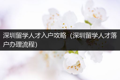 深圳留学人才入户攻略（深圳留学人才落户办理流程）