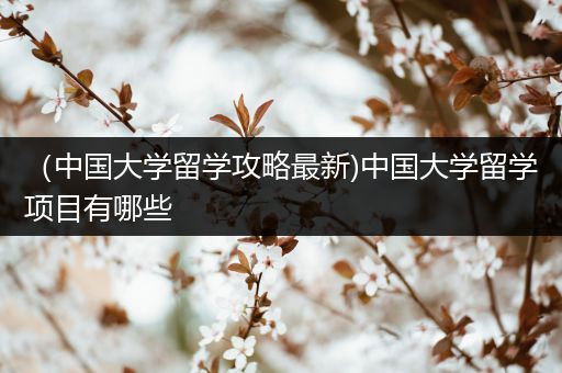 （中国大学留学攻略最新)中国大学留学项目有哪些