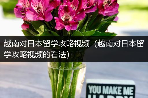 越南对日本留学攻略视频（越南对日本留学攻略视频的看法）