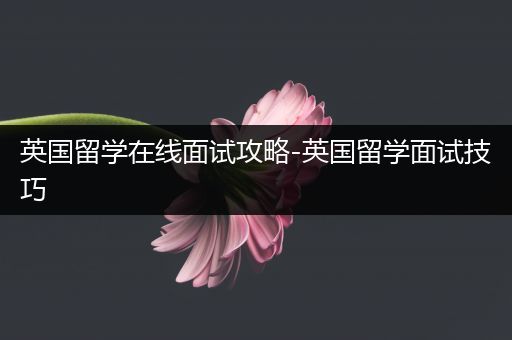 英国留学在线面试攻略-英国留学面试技巧