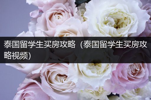 泰国留学生买房攻略（泰国留学生买房攻略视频）