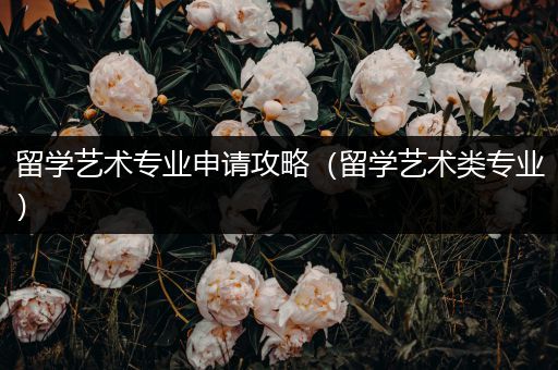 留学艺术专业申请攻略（留学艺术类专业）