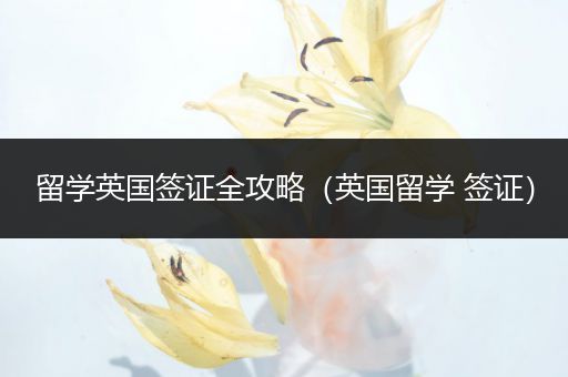 留学英国签证全攻略（英国留学 签证）