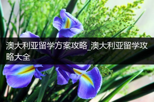 澳大利亚留学方案攻略_澳大利亚留学攻略大全