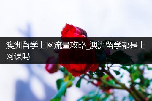 澳洲留学上网流量攻略_澳洲留学都是上网课吗