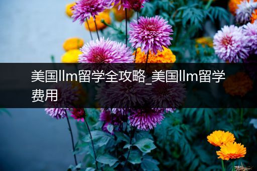 美国llm留学全攻略_美国llm留学费用
