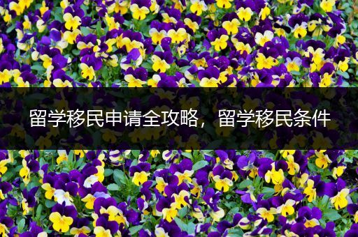 留学移民申请全攻略，留学移民条件