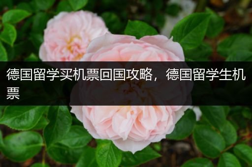 德国留学买机票回国攻略，德国留学生机票