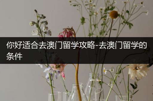你好适合去澳门留学攻略-去澳门留学的条件