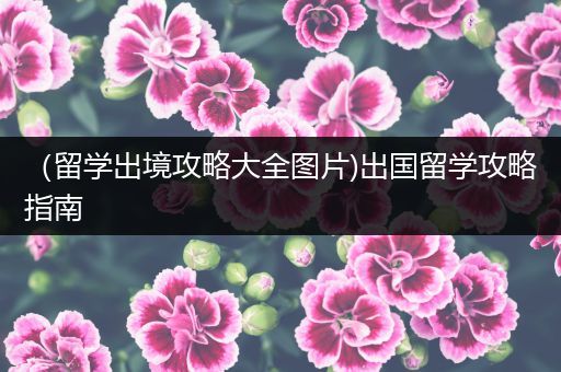 （留学出境攻略大全图片)出国留学攻略指南