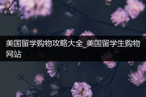 美国留学购物攻略大全_美国留学生购物网站