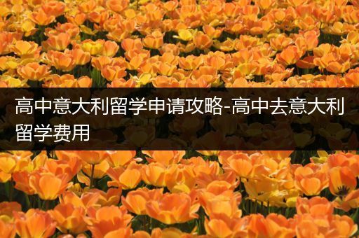 高中意大利留学申请攻略-高中去意大利留学费用