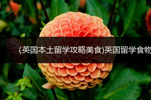 （英国本土留学攻略美食)英国留学食物
