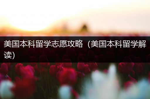美国本科留学志愿攻略（美国本科留学解读）