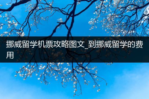 挪威留学机票攻略图文_到挪威留学的费用