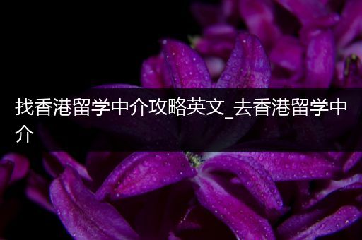 找香港留学中介攻略英文_去香港留学中介