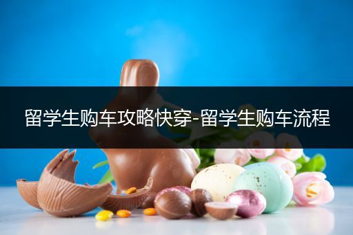 留学生购车攻略快穿-留学生购车流程