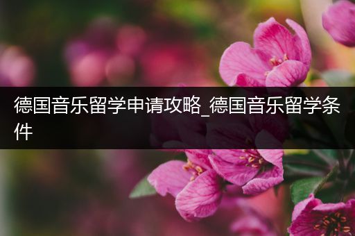 德国音乐留学申请攻略_德国音乐留学条件