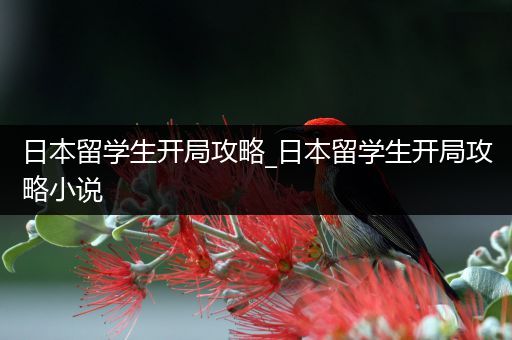 日本留学生开局攻略_日本留学生开局攻略小说
