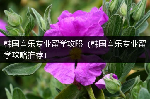 韩国音乐专业留学攻略（韩国音乐专业留学攻略推荐）