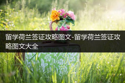 留学荷兰签证攻略图文-留学荷兰签证攻略图文大全