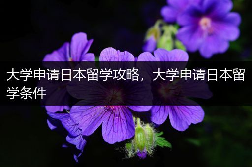 大学申请日本留学攻略，大学申请日本留学条件