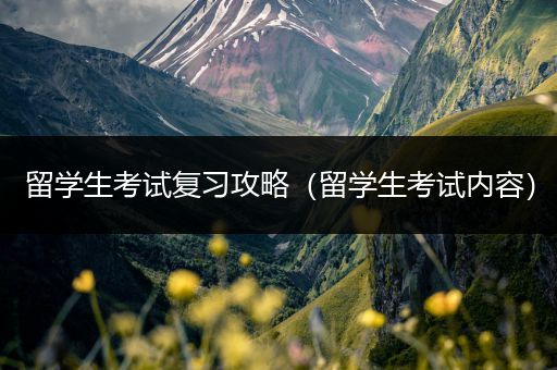 留学生考试复习攻略（留学生考试内容）