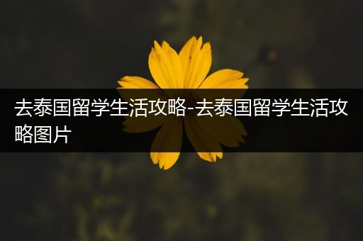 去泰国留学生活攻略-去泰国留学生活攻略图片