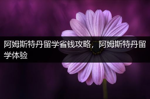 阿姆斯特丹留学省钱攻略，阿姆斯特丹留学体验