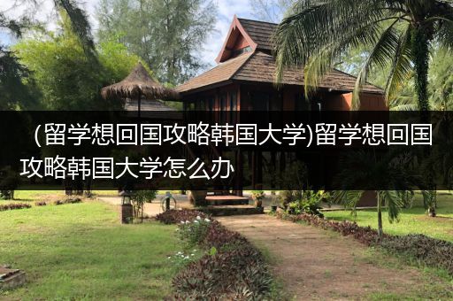 （留学想回国攻略韩国大学)留学想回国攻略韩国大学怎么办