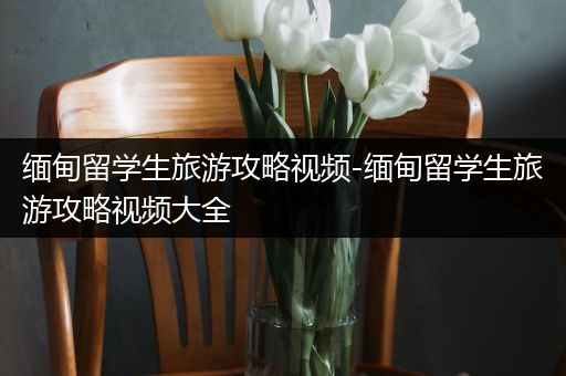 缅甸留学生旅游攻略视频-缅甸留学生旅游攻略视频大全