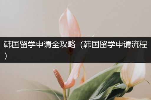 韩国留学申请全攻略（韩国留学申请流程）