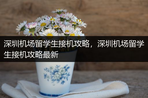 深圳机场留学生接机攻略，深圳机场留学生接机攻略最新