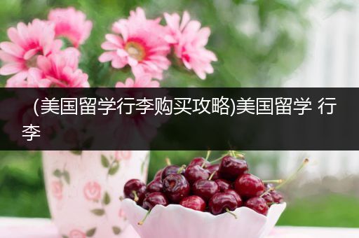（美国留学行李购买攻略)美国留学 行李